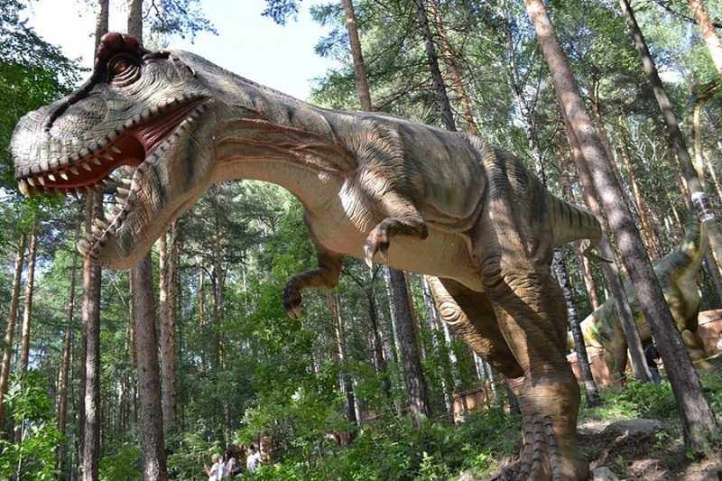 Развлекательный центр "динозаврик" описание и фото - россия - приволжье: абзаково
