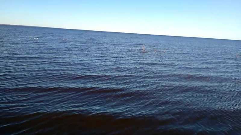 Рыбалка на озере ильмень (мазурский)