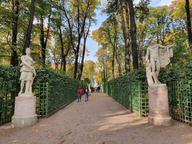 ▷ сады и парки санкт-петербурга | топ-10 ◁