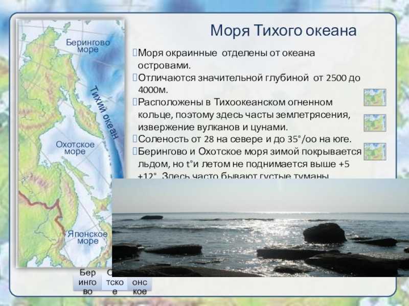 Охотское море: ресурсы, описание, географическое расположение
