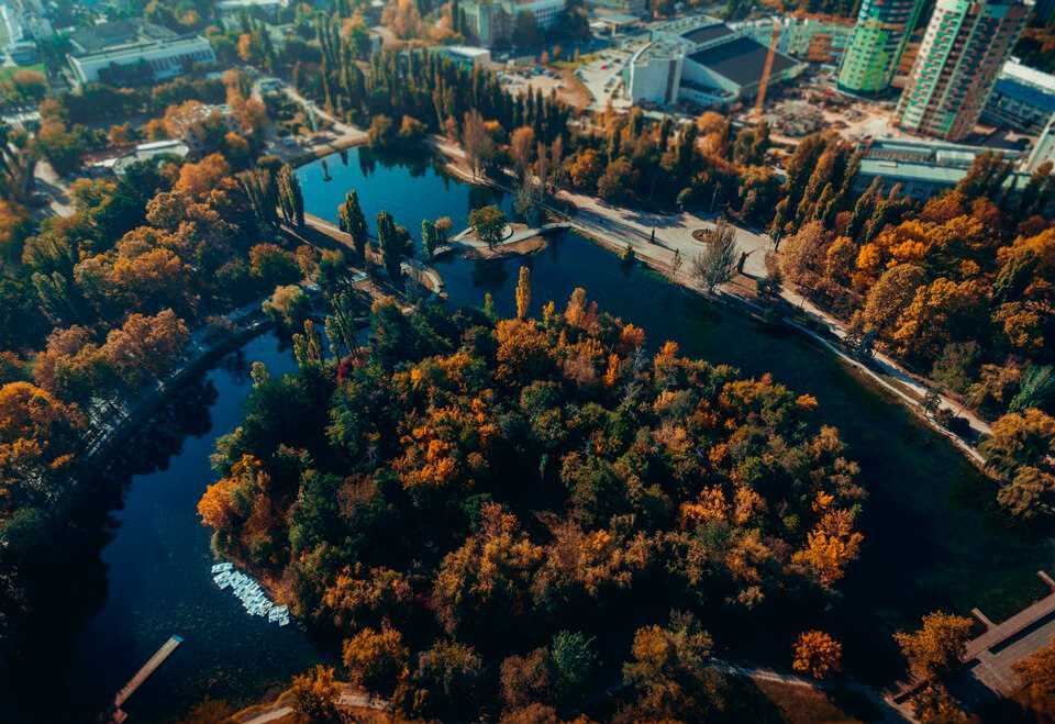 Фото гагаринского парка