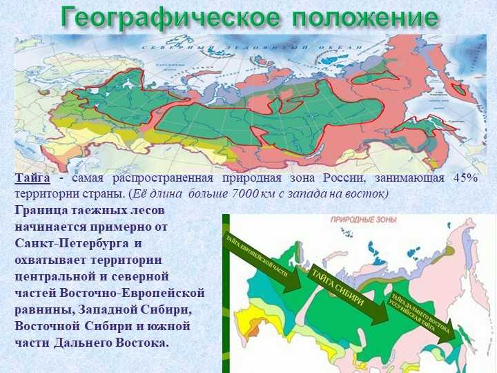 Интерактивная карта сибирского федерального округа. карта сибири с городами и областями подробная
