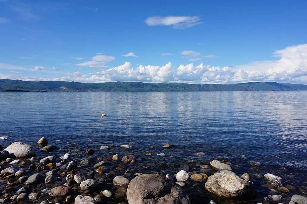 Подборка видео про Озеро Байкал (Россия) от популярных программ и блогеров. Озеро Байкал на сайте wikiway.com