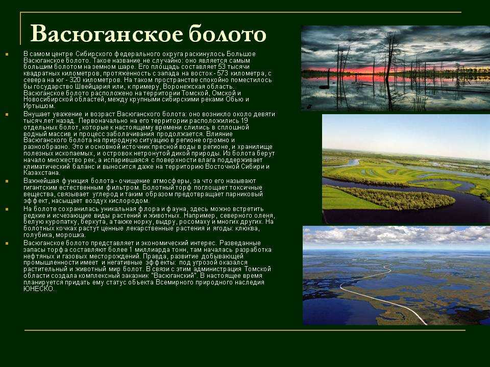 Южная часть таганского болота в новосибирской области — разбираем основательно