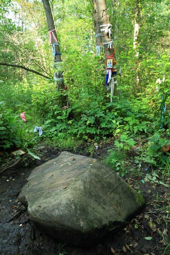 Загадки и легенды киндяковского камня в шутовом лесу