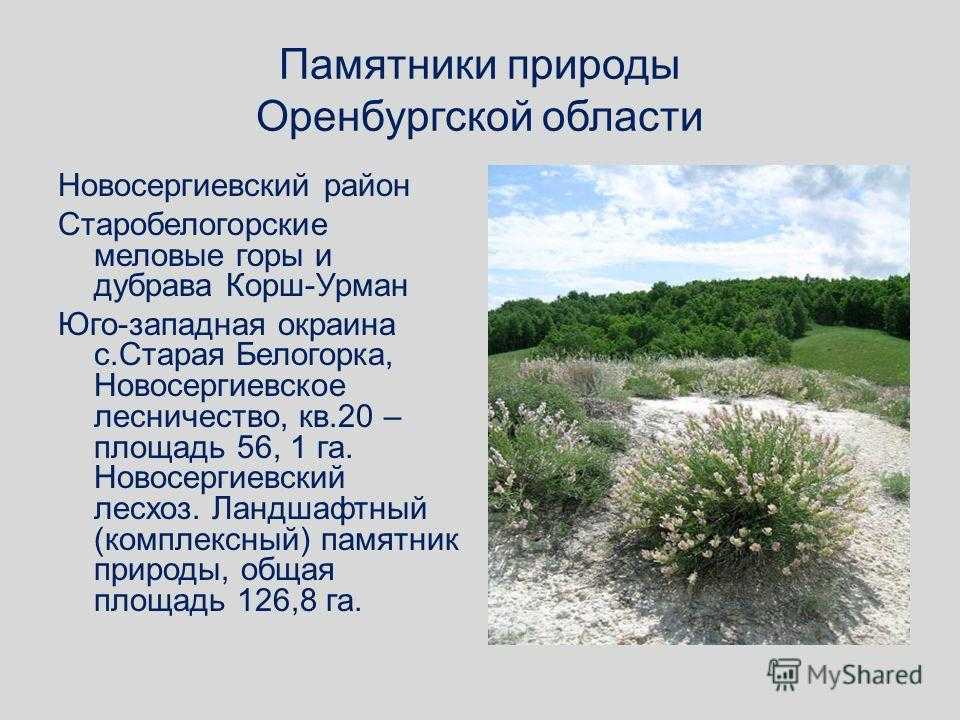 Государственный природный заповедник «оренбургский»