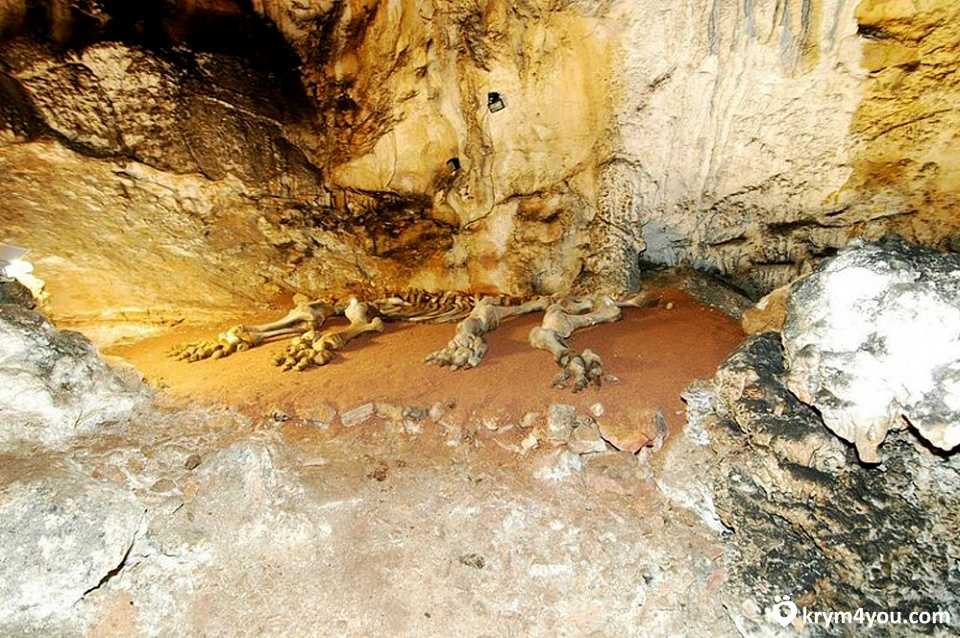 Эмине-баир-коба — оборудованная пещера для любопытных туристов и профессиональных спелеологов