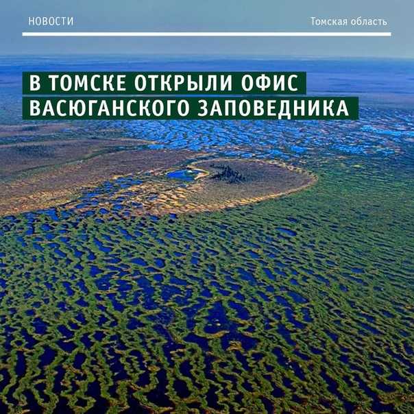 Кириллица  | васюганские болота: какие тайны скрывает самая огромная топь в мире