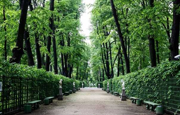 Летний сад в санкт-петербурге - старейший в городе