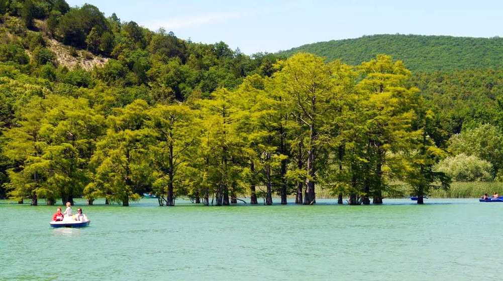 Сукко анапы - кипарисовое озеро, как добраться, интересные места - подробное описание на fortuna-ug ru