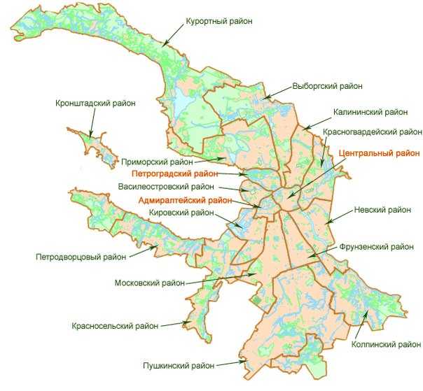 Единая карта петербуржца: что это такое? официальный сайт