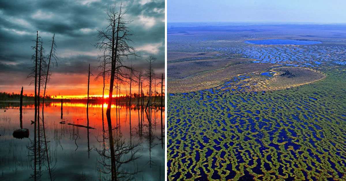 Васюганские болота: неразгаданные тайны