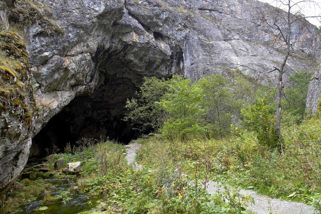 Капова пещера (шульган-таш): описание, как добраться, фото