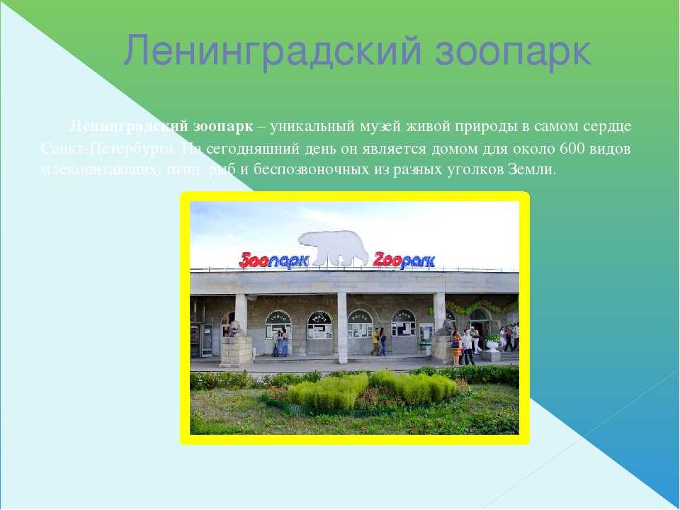 О зоопарке в санкт-петербурге: расписание и стоимость, адрес, официальный сайт