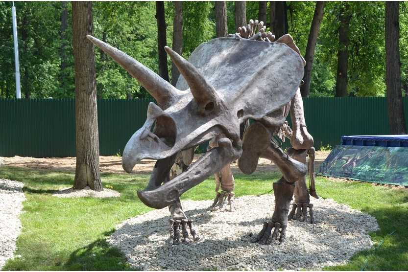 Парк динозавров / национальный туризм