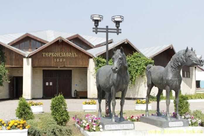 Ставропольский конный завод - на конюшне - конный мир