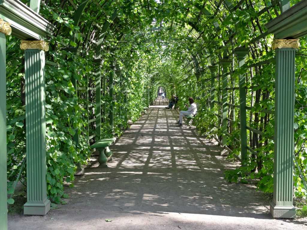 Тематические парки в санкт-петербурге: чье это будущее и как оно изменит город?