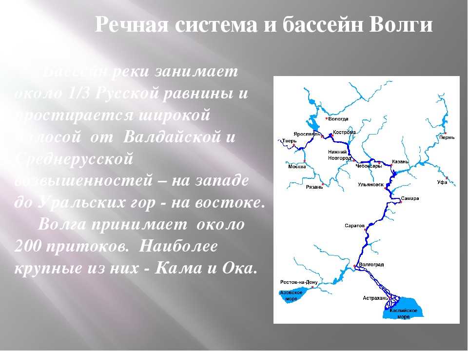 10 самых длинных и больших рек россии