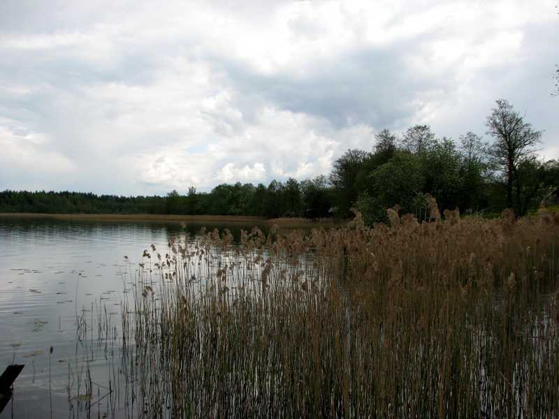 Озеро зеленец в себежском районе
