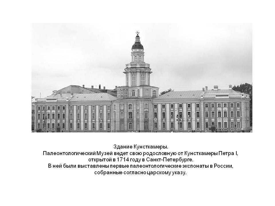 Кунсткамера в санкт-петербурге: история создания, экспонаты, фото