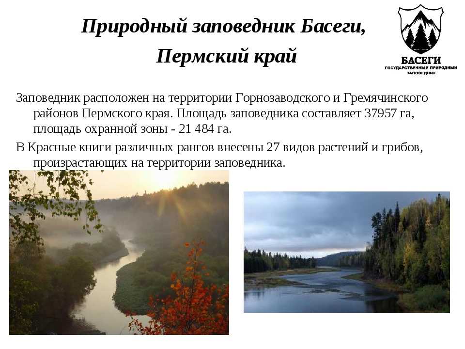 Заповедник «Басеги» — обширная природоохранная территория в Пермском крае, расположенная в районе красивого горного хребта Басеги. Заповедные земли занимают 37 935 га в междуречье двух крупных рек, Усьвы и Вильвы, и созданы для охраны коренных елово-пихто