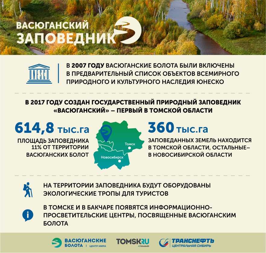Васюганские болота – одно из 7 чудес света россии - travel edge