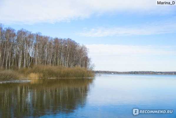Озеро сенеж: координаты и фото, что посмотреть и где находится озеро сенеж