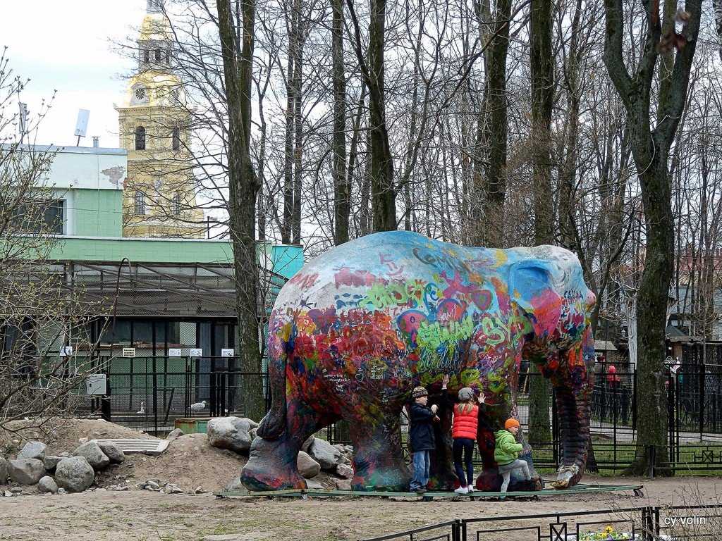 'зоопарк имени чебурашки'. прогулки по санкт-петербургу
