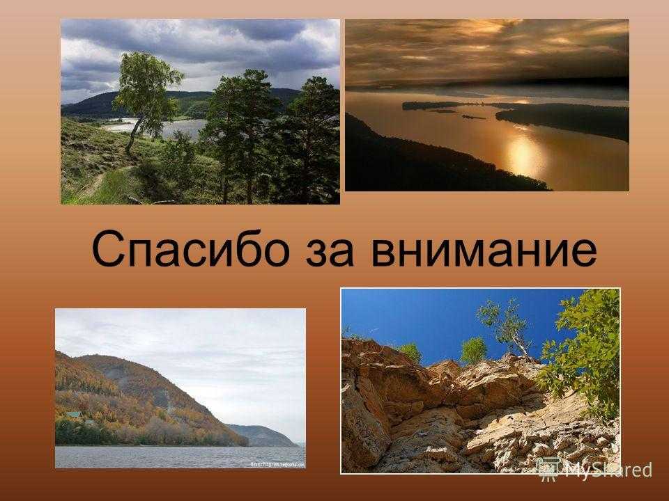 Жигулевский заповедник имени спрыгина презентация