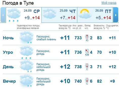 Погода тула по часам сегодня завтра. Погода в Туле. Погода в Туле сегодня. Погода в Туле на неделю. Погода в Туле погода в Туле.
