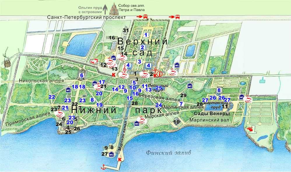 Отели петергофа на карте россии - подробная карта петергофа c гостиницами и отелями на русском языке
