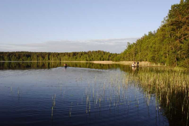 Экопросвещение – национальный парк "себежский"