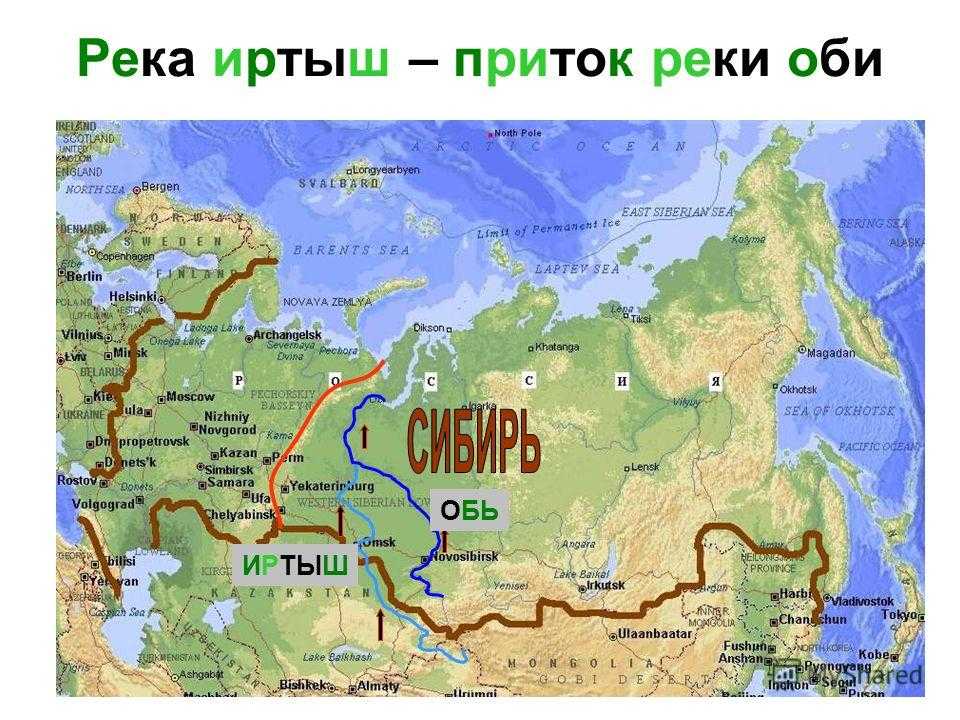 Карта сибири, где находится сибирь на карте мира