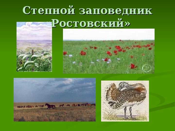 Заповедник «черные земли», калмыкия — растения, животные, где находится, сайт | туристер.ру