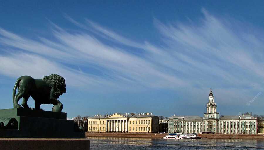 Университетская набережная в Санкт-Петербурге протянулась на 1173 метра на Васильевском острове, от Биржевой площади до площади Трезини и 6-й линии. Она соединяет Стрелку с набережной лейтенанта Шмидта. Здесь расположен старейший российский вуз – Санкт-Пе