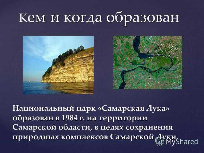 Национальный парк самарская лука 2021 — достопримечательности, официальный сайт, как проехать, фото, карта, отзывы на туристер.ру
