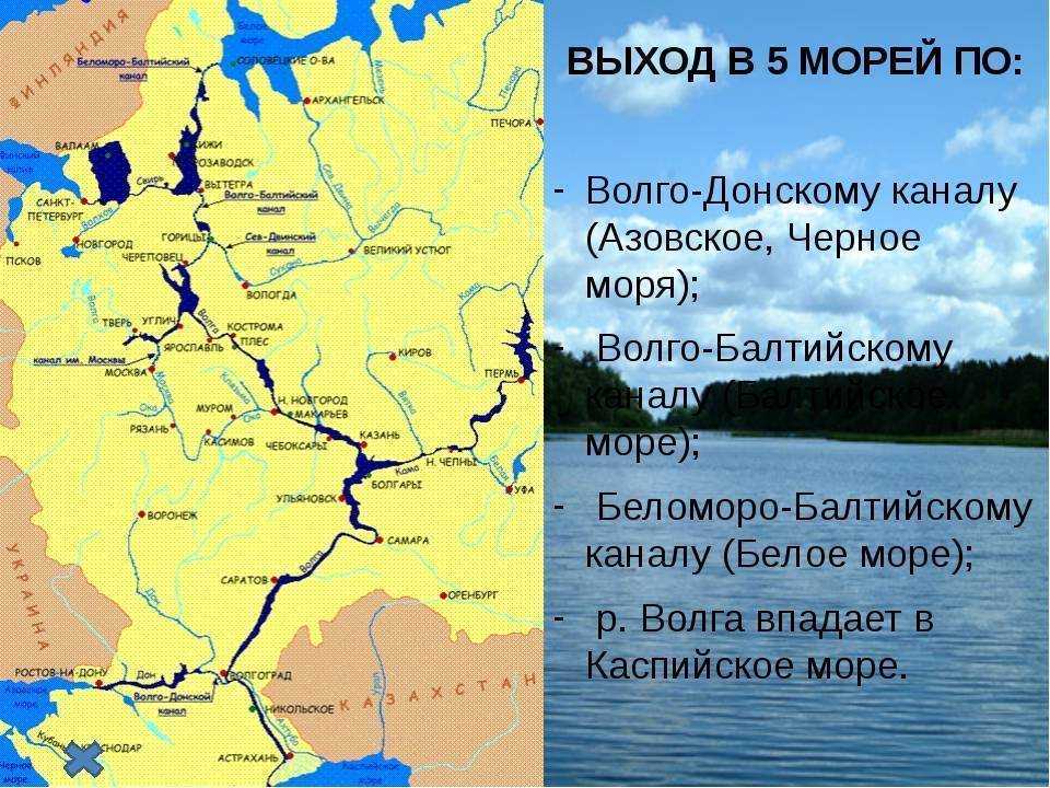 Откуда берёт начало волга: исток реки, где находится душа россии