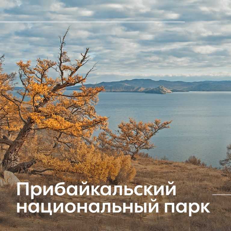 Подборка видео про Прибайкальский национальный парк (Россия) от популярных программ и блогеров. Прибайкальский национальный парк на сайте wikiway.com