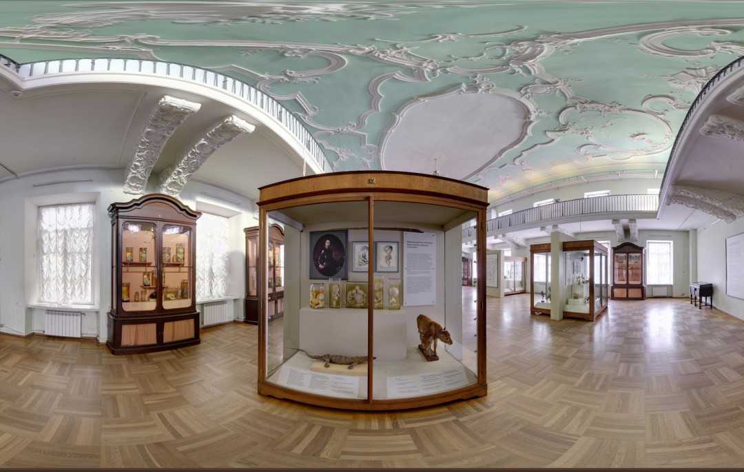 Музей м. в. ломоносова в санкт-петербурге