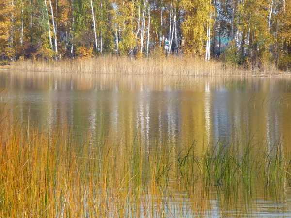 Рыбалка на озере увильды » отдых на природе. места, статьи, события.
