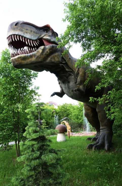 Парк динозавров / национальный туризм