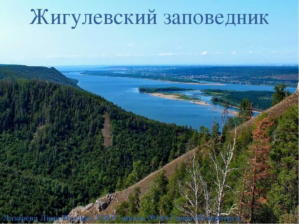 Жигулевский заповедник — природоохранная территория, расположенная в Самарской Луке, между Куйбышевским и Саратовским водохранилищами. Заповедник был создан в 1927 году и первоначально носил название «Средне-Волжский».