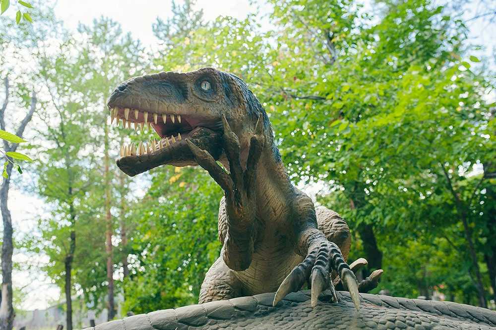 Развлекательный центр "динозаврик"
