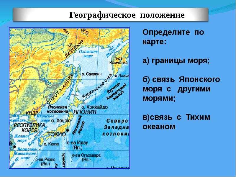 Японское море на карте, характеристики, соленость, глубина, флора и фауна