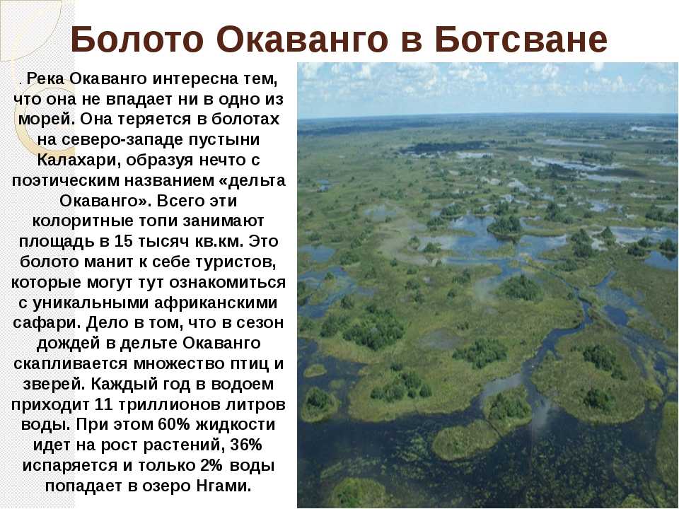 Васюганские болота — одни из самых больших болот на Земле, расположены в Западной Сибири, в междуречье Оби и Иртыша, на территории Васюганской равнины, находящейся большей частью в пределах Томской области, и малыми частями — Новосибирской и Омской област