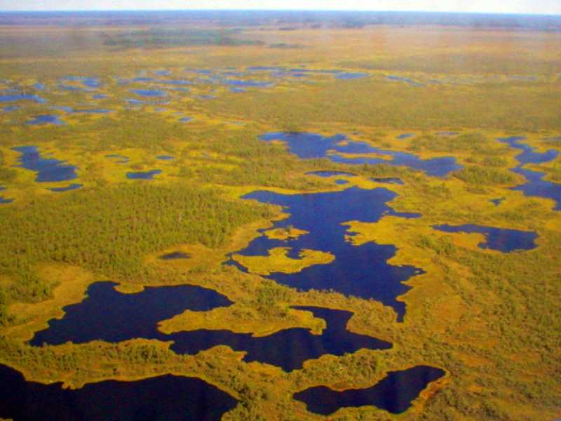 Васюганские болота в западной сибири: неразгаданные тайны - злые боги-самоеды