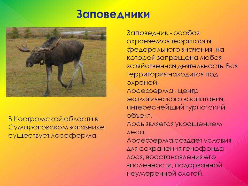 Государственный природный заповедник «оренбургский» — наш урал