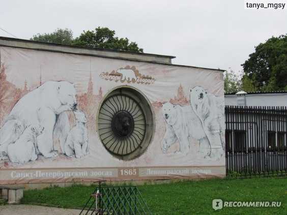 Зоопарк в санкт-петербурге