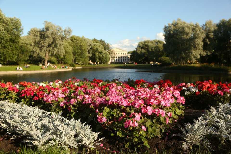 Самые красивые парки санкт-петербурга. топ-5 лучших