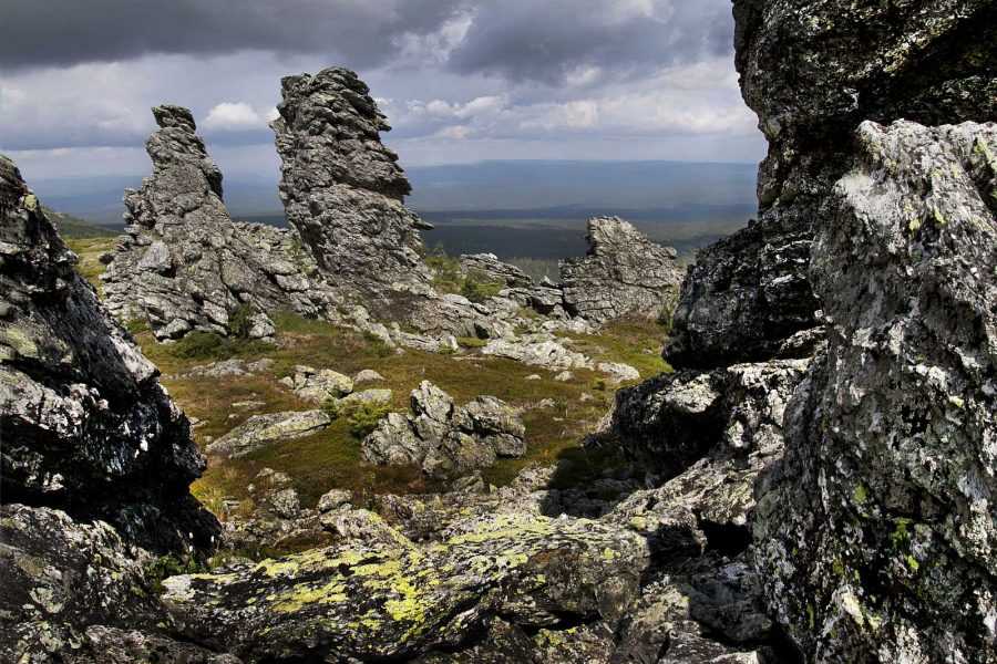 Государственный заповедник "басеги", пермский край: фото, флора и фауна парка